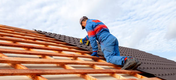 Best Roof Coating Services  in Long Grove, IL